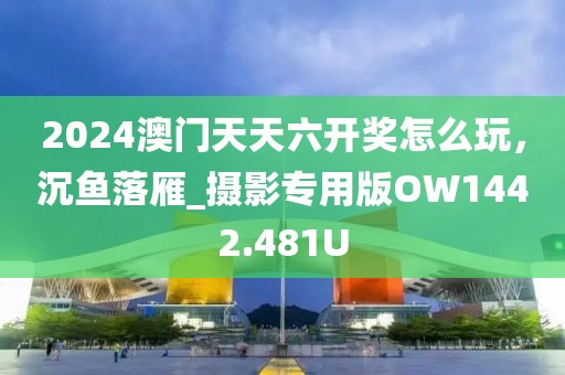 2024澳门天天六开奖怎么玩，沉鱼落雁_摄影专用版OW1442.481U