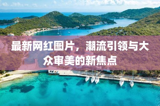 最新网红图片，潮流引领与大众审美的新焦点