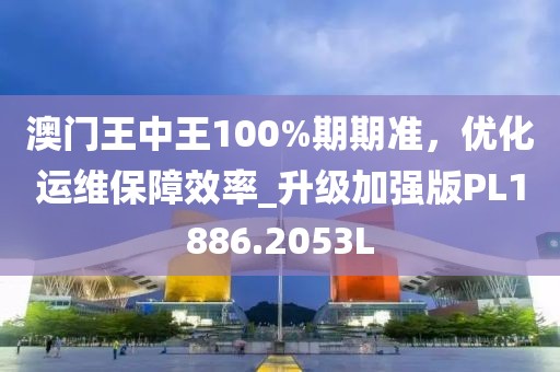 澳门王中王100%期期准，优化运维保障效率_升级加强版PL1886.2053L