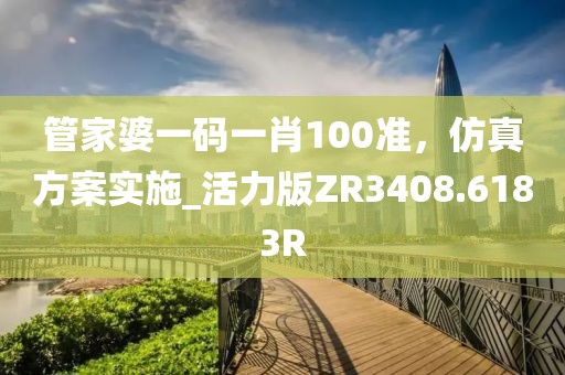 管家婆一码一肖100准，仿真方案实施_活力版ZR3408.6183R