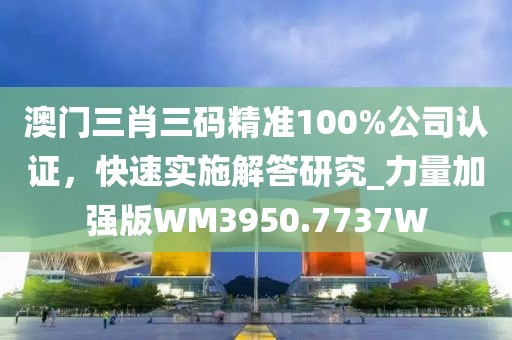 澳门三肖三码精准100%公司认证，快速实施解答研究_力量加强版WM3950.7737W