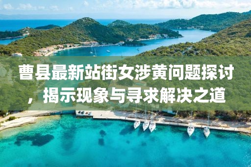 曹县最新站街女涉黄问题探讨，揭示现象与寻求解决之道