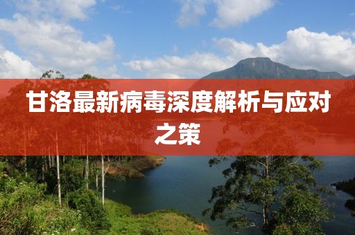 甘洛最新病毒深度解析与应对之策