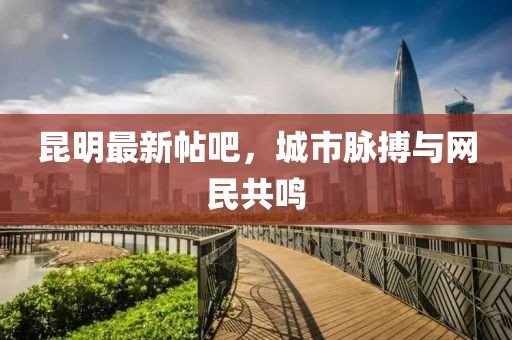 昆明最新帖吧，城市脉搏与网民共鸣