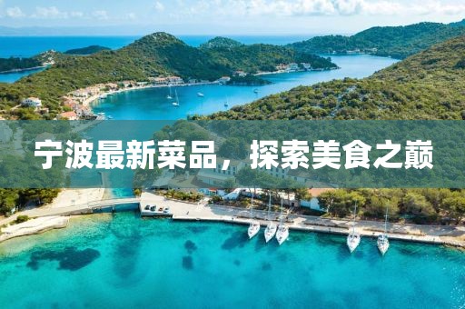 宁波最新菜品，探索美食之巅