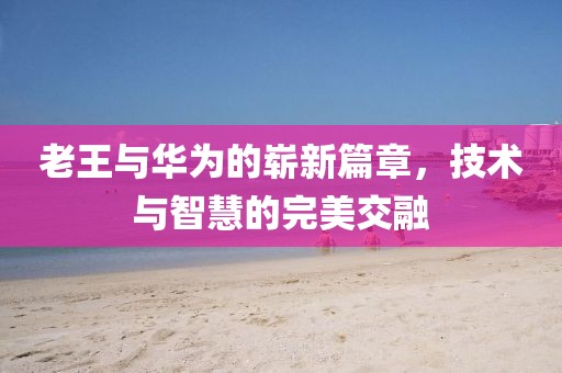 老王与华为的崭新篇章，技术与智慧的完美交融