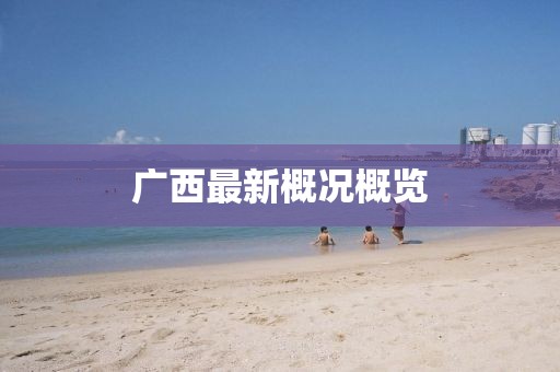 广西最新概况概览