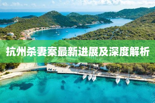 抗州杀妻案最新进展及深度解析