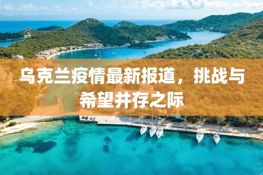 乌克兰疫情最新报道，挑战与希望并存之际