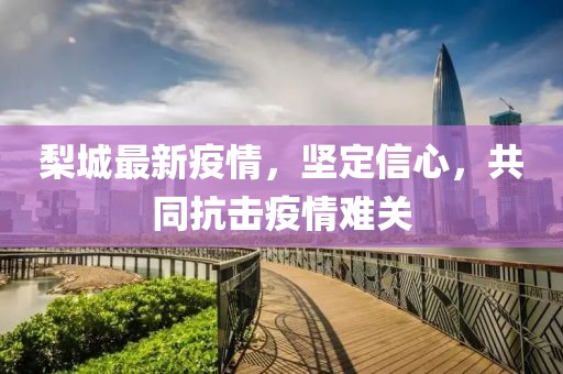 梨城最新疫情，坚定信心，共同抗击疫情难关