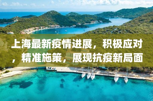 上海最新疫情进展，积极应对，精准施策，展现抗疫新局面