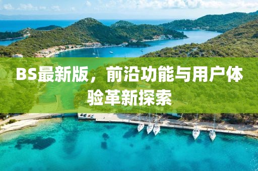 BS最新版，前沿功能与用户体验革新探索