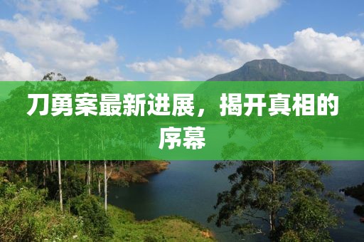 刀勇案最新进展，揭开真相的序幕