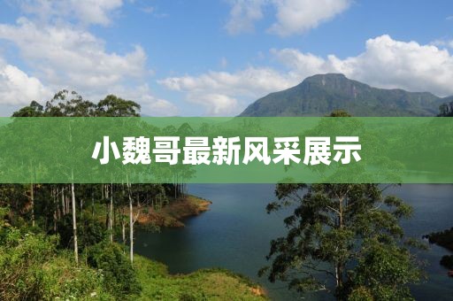 小魏哥最新风采展示