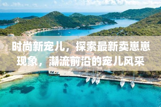 时尚新宠儿，探索最新卖崽崽现象，潮流前沿的宠儿风采