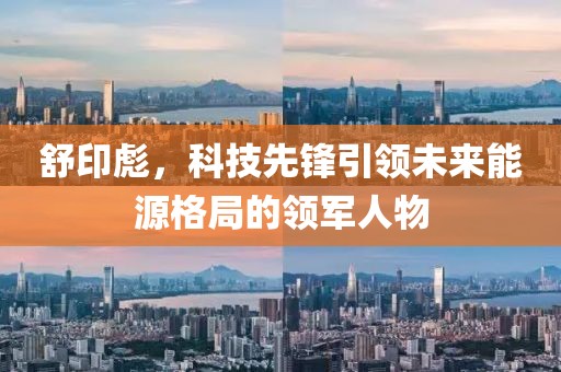 舒印彪，科技先锋引领未来能源格局的领军人物