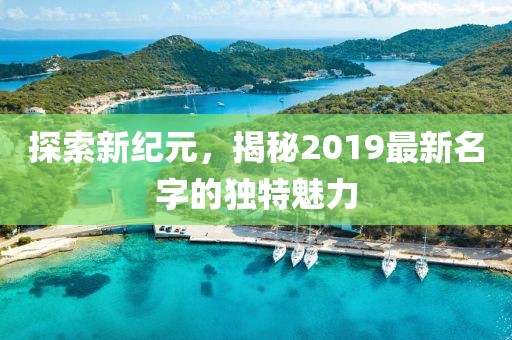 探索新纪元，揭秘2019最新名字的独特魅力