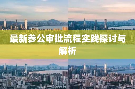 最新参公审批流程实践探讨与解析