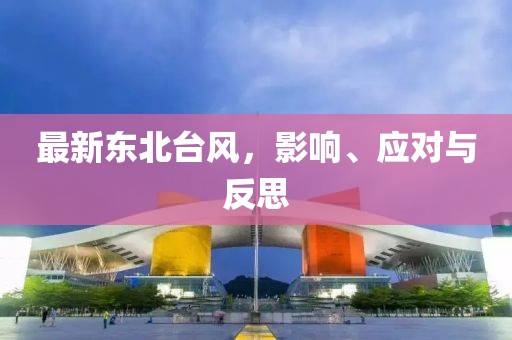 最新东北台风，影响、应对与反思