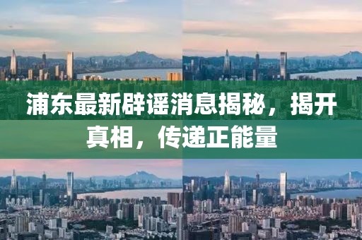 浦东最新辟谣消息揭秘，揭开真相，传递正能量