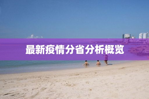 最新疫情分省分析概览