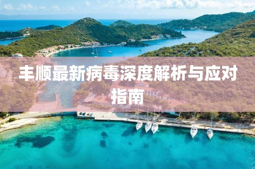 丰顺最新病毒深度解析与应对指南