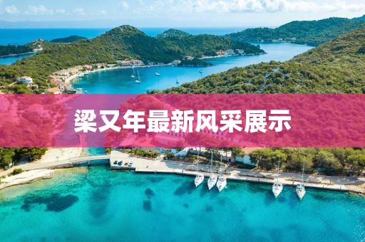 梁又年最新风采展示