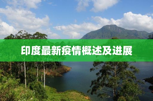印度最新疫情概述及进展