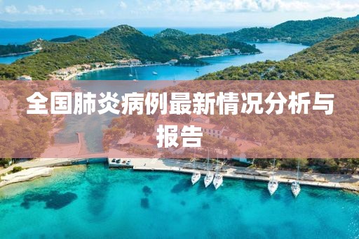 全国肺炎病例最新情况分析与报告