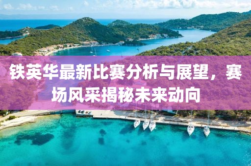 铁英华最新比赛分析与展望，赛场风采揭秘未来动向