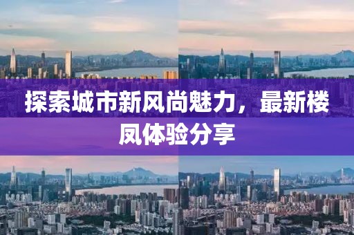 探索城市新风尚魅力，最新楼凤体验分享