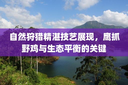 自然狩猎精湛技艺展现，鹰抓野鸡与生态平衡的关键