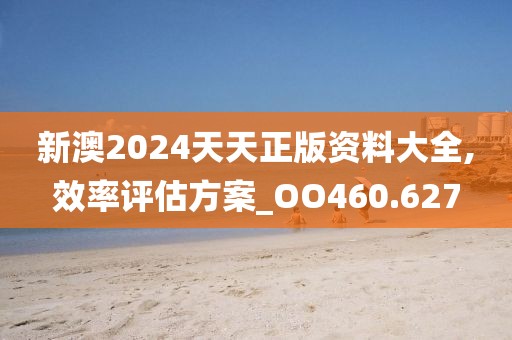 新澳2024天天正版资料大全,效率评估方案_OO460.627