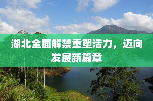 湖北全面解禁重塑活力，迈向发展新篇章