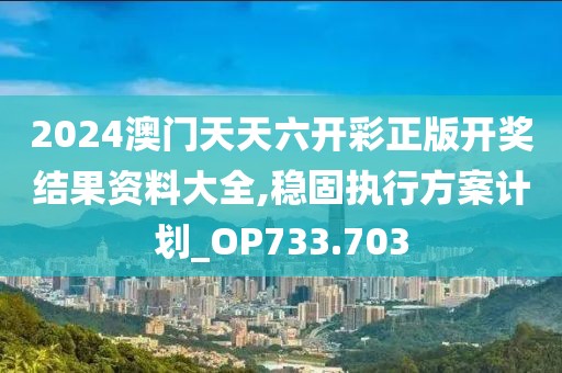 2024澳门天天六开彩正版开奖结果资料大全,稳固执行方案计划_OP733.703