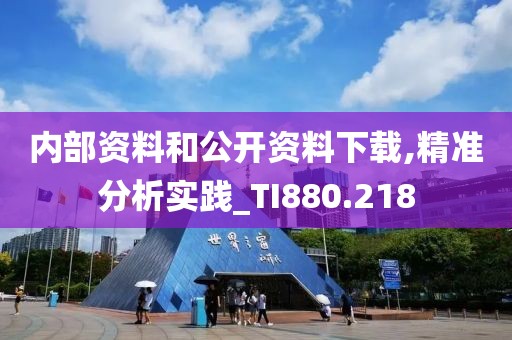 内部资料和公开资料下载,精准分析实践_TI880.218