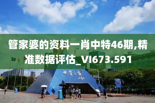 管家婆的资料一肖中特46期,精准数据评估_VI673.591
