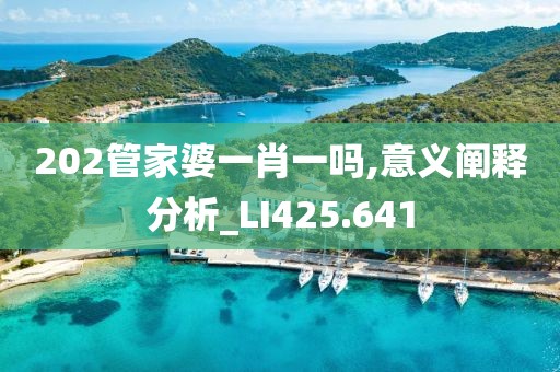 202管家婆一肖一吗,意义阐释分析_LI425.641