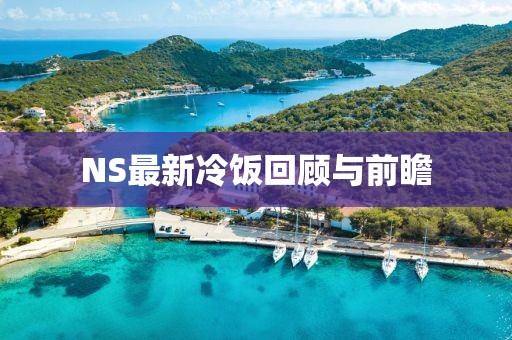 NS最新冷饭回顾与前瞻