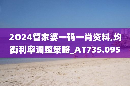 2O24管家婆一码一肖资料,均衡利率调整策略_AT735.095