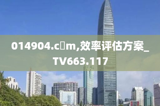 014904.c蟽m,效率评估方案_TV663.117
