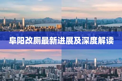 阜阳改厕最新进展及深度解读