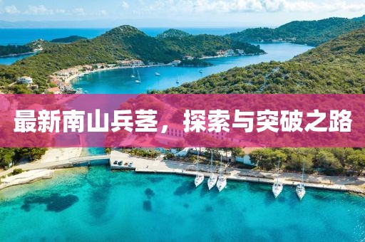 最新南山兵茎，探索与突破之路