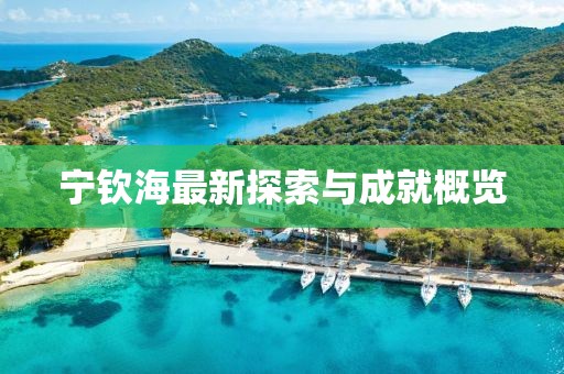 宁钦海最新探索与成就概览