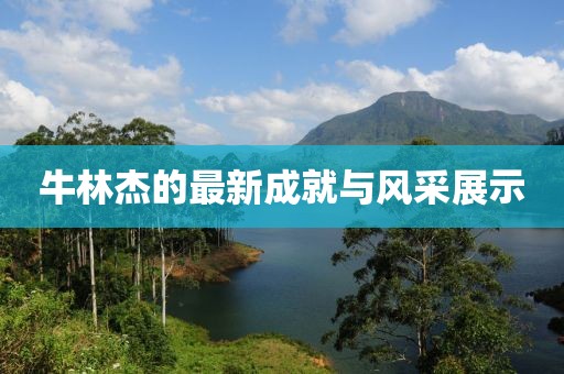 牛林杰的最新成就与风采展示