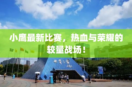 小鹰最新比赛，热血与荣耀的较量战场！
