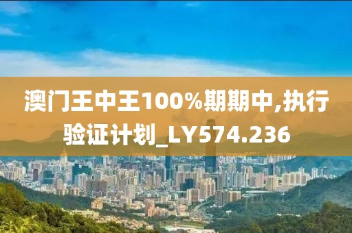 澳门王中王100%期期中,执行验证计划_LY574.236