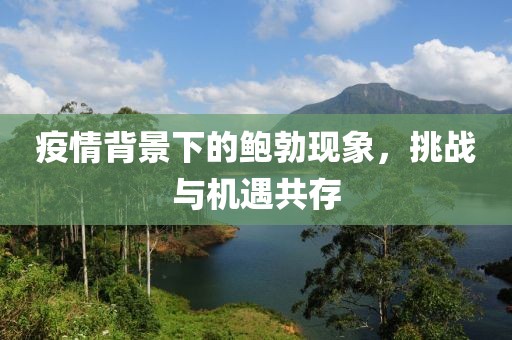疫情背景下的鲍勃现象，挑战与机遇共存