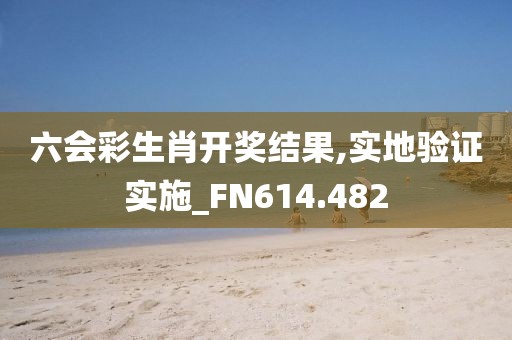 六会彩生肖开奖结果,实地验证实施_FN614.482