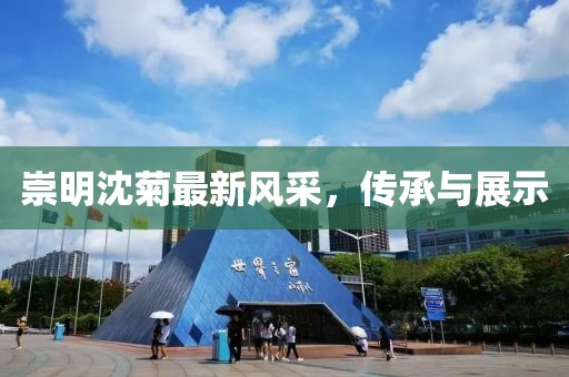 崇明沈菊最新风采，传承与展示